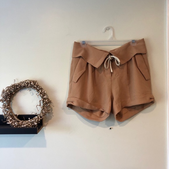 Aritzia Pants - Wilfred Le Fou Shorts